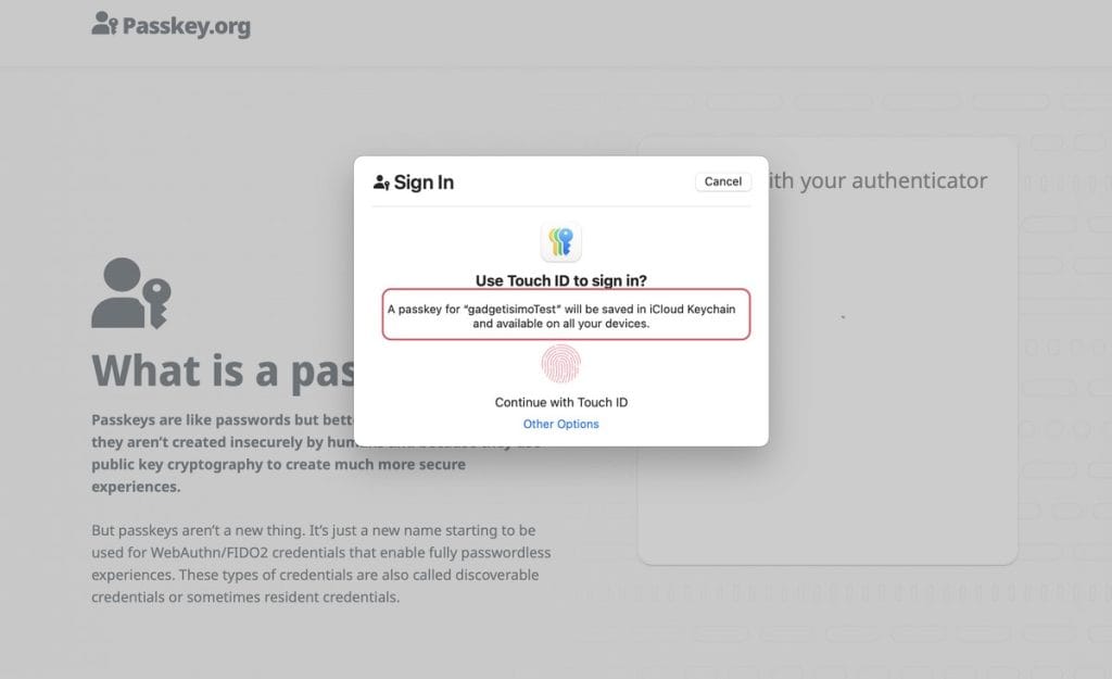 Confirmare salvare Passkey