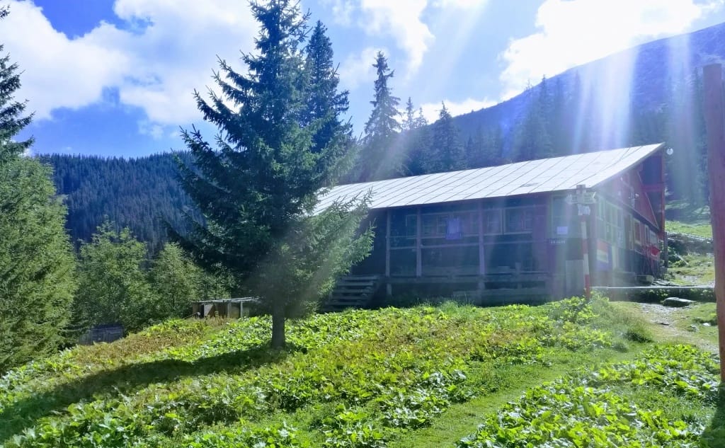 Traseu Cabana Poiana Neamțului – Cabana Bârcaciu în Munții Făgăraș
