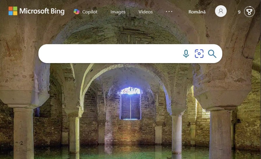 Bing search