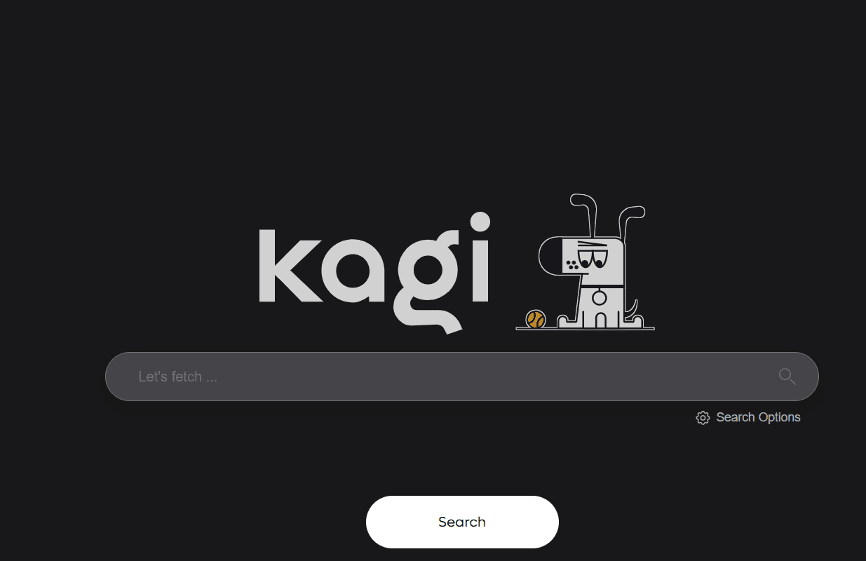 kagi search